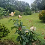 Casa Coba Camijanes
