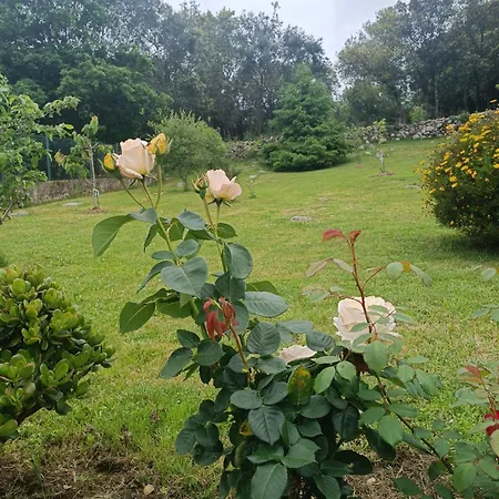 Casa Coba Camijanes
