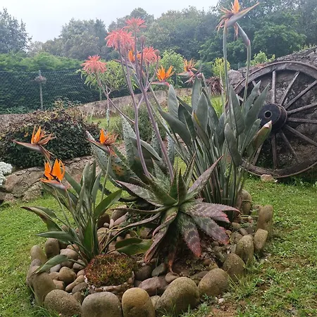 Casa Coba * Camijanes