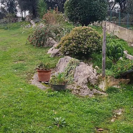 Alpehytte Casa Coba